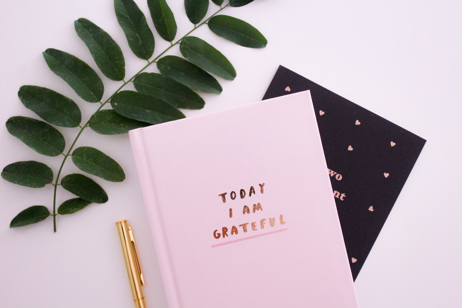 Exploring the Joy of Open Self-Expression
